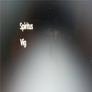 Víg