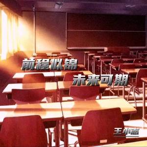 前程似锦 未来可期