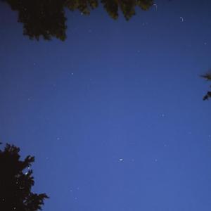 Lycka till du numera främling