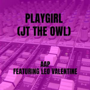 Playgirl (JT The Owl Remix)