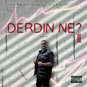 Derdin Ne?