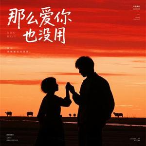 那么爱你也没用