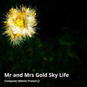 Mr and Mrs Gold Sky Life