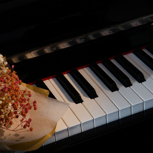 青春 (治愈轻音乐经典钢琴曲)