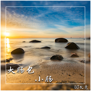 大肠包小肠