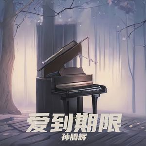 孙腾辉-爱到期限