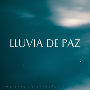 Cayendo A Través Y A Través