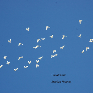 Saline (feat. Greg Bell)