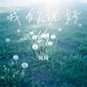 我们说好的 (风珂 Remix)