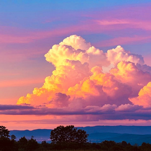 [FREE] "自我反省" JAZZ Trap Type Beat