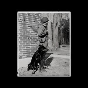 DOBERMAN