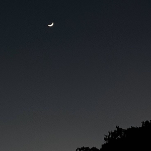 remember the first night we met?