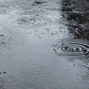 归雨