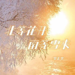 北等花开南等雪来