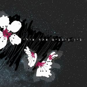 בין כוכבים אתה אולי צודק