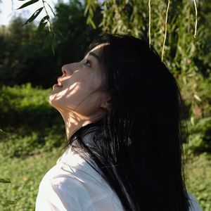 纯音乐 (187)