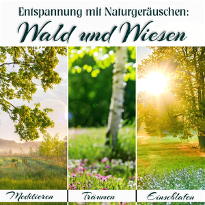 Waldspaziergang