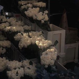 190320（Prod By Smg）