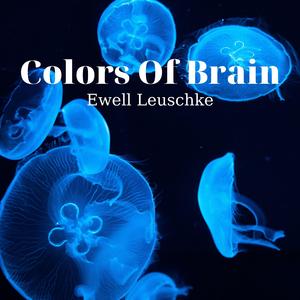 Colors Of Brain