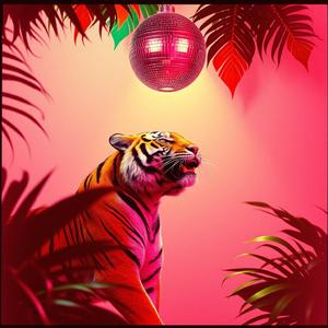 Feel the Funk: Patrick B. the Tiger by @robsmusicventure