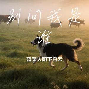 别问我是谁 (Cover 冯提莫)