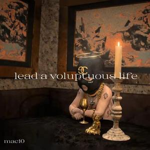 纸醉金迷freestyle