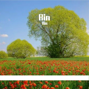 逆风逐梦，挫志弥坚