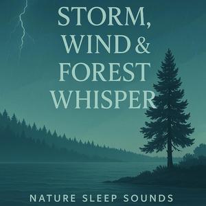 Thunderstorm & Rainfall