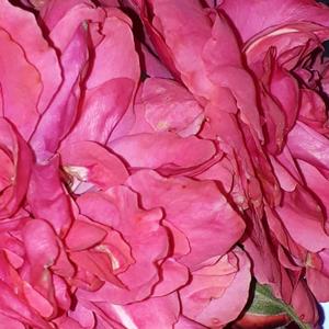 are you really going to the drawer and getting new clothes lol im giving u another