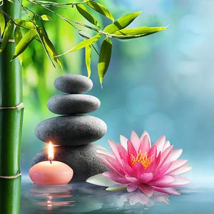 五音疗愈 疏肝 古琴