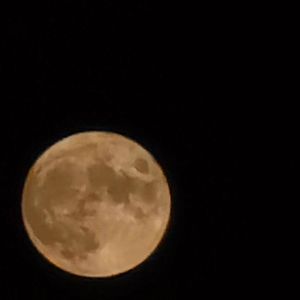 微光救赎Prod.SamueWang