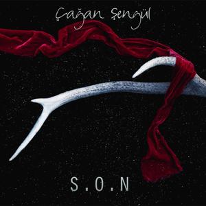 S.O.N
