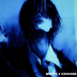 Bye Bye X Icewhore