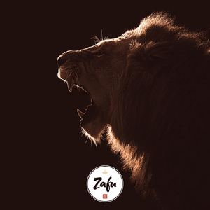 Roar