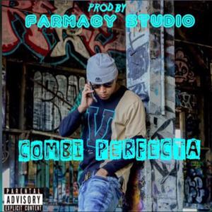 Combi Perfecta