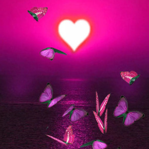 どうしようもなく君が好き