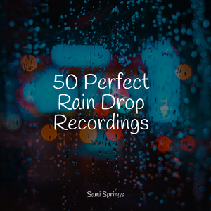 Forest Ambience, Strong Wind, Rain