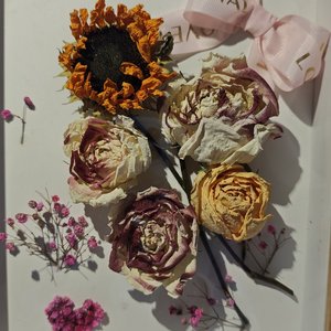 初中生的夜晚骑行