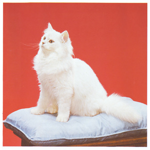 G.A.O.T.U (Great Architect of the Universe)