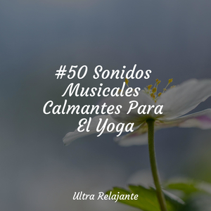 Llamado Desde Dentro