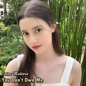You Don’t Own Me