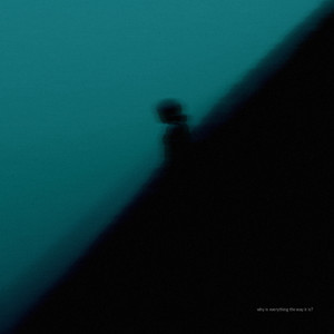 Why Is Everything the Way It Is?