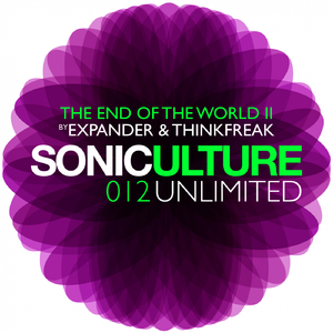 Sunburner (Original Mix)