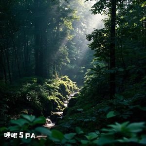 大自然的声音 鸟鸣助眠解压
