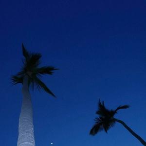 Mujer Bonita（FinK9）