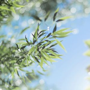 人生没有说明书 (高潮版)