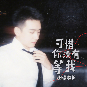 可惜你没有等我