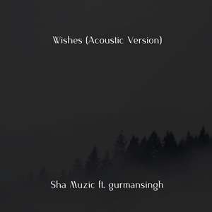Wishes (Acoustic Version)