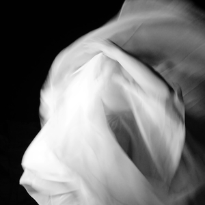 Cypress Grove (feat. siwar project) (Instrumental)