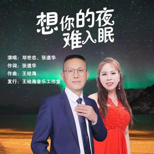 想你的夜难入眠